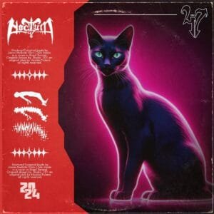 Dark Cat | Synthwave Trap Type Beat